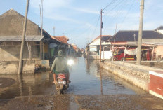 Ada Inpres, Jalan di Brebes Bakal Diperbaiki dengan Anggaran Rp50 Miliar