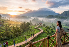 Bikin Betah Liburan! 5 Wisata Terbaru di Tegal Ini Punya View Syahdu & Banyak Spot Foto Kekinian