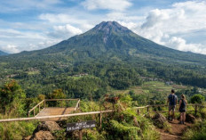 5 Wisata Alam di Pemalang yang Paling Populer: Panorama Gunung Slamet & Hutan Pinus Sejuk!