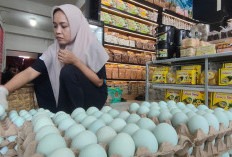Sambut Arus Mudik Lebaran, Pengrajin Telur Asin di Brebes Tambah Produksi