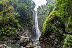 Bikin Betah, Ini 8 Wisata Alam di Tegal dengan Pemandangan Terbaik