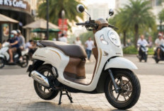 Tampil Makin Modis Desain Retro Modern Anyar! Cek Honda Scoopy 2026 Ini