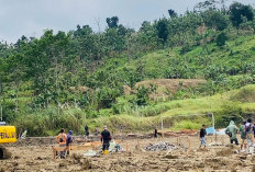 Percepatan Huntara Tegal: Bupati Ischak Targetkan 456 Unit Modular Selesai Maret 2026