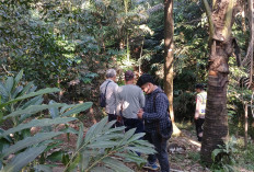 Lansia di Brebes Hilang, Tim Gabungan Sisir Hutan dan Sungai