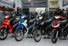 10 Pilihan Motor Bekas 5 Jutaan Terbaik 2026, dari Bebek sampai Matic