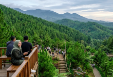 Tempat Liburan Alam di Tegal Terpopuler 2026, paling Asri dan Sejuk, Cocok untuk Liburan Keluarga