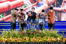 Akselerasi Ekosistem Halal Jawa Tengah: Gelaran Fajar 2026 Mampu Dongkrak Omzet UMKM Hingga Lipat Lima