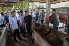 Gubernur Jateng Instruksikan Layanan Healing Diintensifkan Jelang Idul Adha