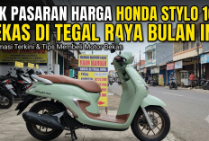 Ramai Dicari Anak Muda, Cek Pasaran Harga Honda Stylo 160 Bekas di Tegal Raya Bulan Ini