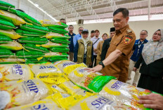 Momen Ahmad Luthfi Cek KDMP: Minyak Goreng Murah Rp16 Ribu Disambut Warga