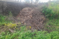 Gara-gara Sampah Bekas Taman Hotel, Warga Pemalang Ngeluh Terancam Gagal Panen 