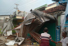 Bencana Angin Kencang di Dukuhturi Ketanggungan: 15 Rumah Rusak, Pohon Tumbang Timpa Kabel Listrik 