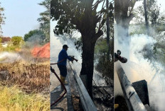 Tiga Kebakaran Lahan Terjadi Sehari di Kabupaten Tegal, Damkar Ungkap Penyebabnya