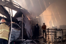 Update Kebakaran di Tanjung Brebes, Kasatpol PP: Dua Titik Api Sudah Padam