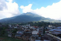 Inilah Desa BRILian Sumowono yang Tumbuh dan Terus Berinovasi Bersama BRI 