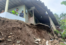 Tanah Longsor di Bojong Tegal: Akses Jalan Wisata Guci Sempat Terputus 