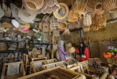 Penyaluran KUR BRI 2026 Hingga Februari Tembus Rp31,42 Triliun, Menjangkau 643 Ribu UMKM 