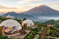 5 Rekomendasi Wisata Glamping di Tegal Murah dengan View Cantik, Liburan Makin Asik