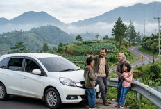 7 Mobil Keluarga Honda Murah, Harga Bekas Mulai Rp50 Jutaan