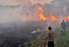 Lahan 8.000 Meter Persegi di Tarub Tegal Terbakar, Warga dan Petugas Gercep Lakukan Ini