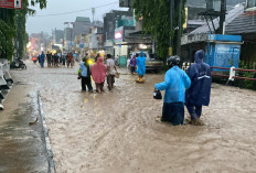 Banjir di Brebes Selatan, Ratusan Rumah Terendam