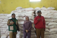 Siap-siap! DPKP Brebes Buka Pendaftaran Penerima Manfaat Pupuk Bersubsidi
