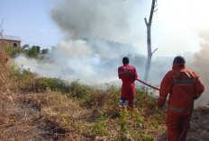 Tiga Kebakaran Lahan Terjadi dalam Lima Jam di Kabupaten Tegal, Diduga akibat Kelalaian