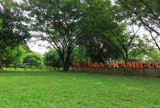 Video Asusila di Taman Balekambang Solo Viral, Ini Respon Disbudpar