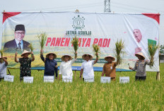Hadiri Panen Raya Padi di Tegal, Menko Zulhas Singgung Swasembada Beras Nol Impor 