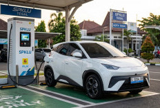 4 Mobil Listrik BYD Termurah 2026, Cek Harga dan Peluang Insentif