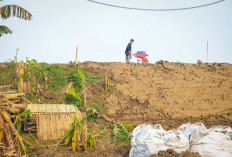 Tanggul Sungai Tuntang Grobogan Retak: Pemprov Jateng Instruksikan BBWS Percepat Perbaikan
