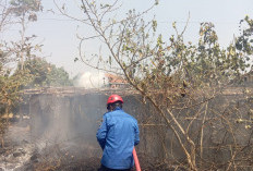 Dua Jam Berselang, Dua Lahan di Kabupaten Tegal Terbakar