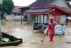Sungai Babakan Meluap, Pemukiman di Cikeusal Lor-Ketanggungan Terendam Banjir