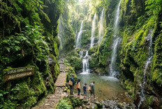 Jelajah Hidden Gem Wisata Tegal: Dari Pesisir Hingga Bukit Kapur