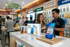 7 HP Android yang Harganya Turun September 2026, Ada Samsung dan Infinix