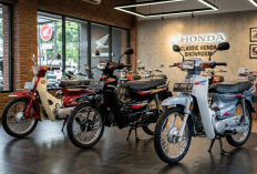 Kolektor Wajib Tahu! Ini 8 Motor Bebek Honda yang Semakin Langka