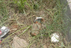 BREAKING NEWS! Warga di Tegal Temukan Granat Tangan di Depan Makam