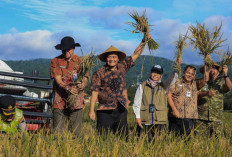 Januari-Maret Jawa Tengah Panen Raya Padi, Hasil Diperkirakan Tembus 3,35 Juta Ton