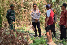 Geger Penemuan Bayi di Pekarangan Kosong Tlogomulyo Semarang, Polisi Telusuri CCTV