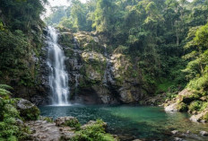 5 Curug di Wilayah Pemalang yang Paling Eksotis: Air Jernih, Asri, & Cocok Buat Healing!
