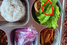 Video Menu MBG di Pemalang Viral! Diduga Ada Hewan Kecil yang Bergerak dalam Makanan