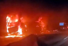Kebakaran Bus Tunggal Dara di Tol Bawen, Begini Kronologinya