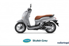 12 Sebab Honda Scoopy 2026 Jadi Motor Favorit Gen Z, Stylish dan Praktis untuk Harian