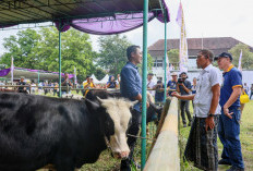 Pastikan Kesehatan Hewan Kurban Iduladha 2026 Sehat, Pemprov Jateng Lakukan Hal Ini