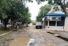 Desanya Lunas PBB-P2 Tercepat Tetapi Jalannya Rusak, Warga di Brebes Sambat