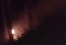Kebakaran Hutan Terjadi di Bukit Gombong Kiriman Beluk Pemalang, Damkar Antisipasi Insiden Susulan