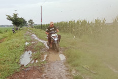 Awal Tahun 2026! Warga Kembali Protes Jalan Rusak di Brebes