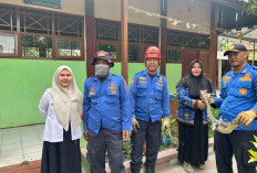 Biawak Nyasar ke Ruang Guru SDN 03 Pesarean Tegal, Damkar Turun Tangan