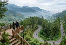 6 Tempat Wisata Sejuk di Tegal yang Murah dan Instagramable