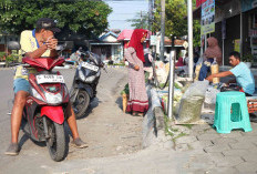 Kecewa Sepi Pembeli, Pedagang Pasar Tradisional Cinde Tegal Boyongan Keluar Pasar